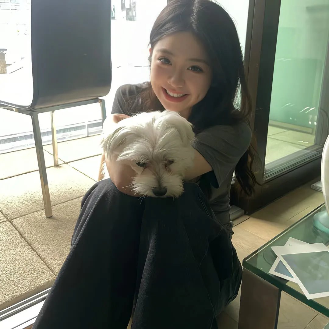 献给阿尔吉侬的花束